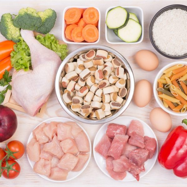 Homemade Dog Food&nbsp;Ideas