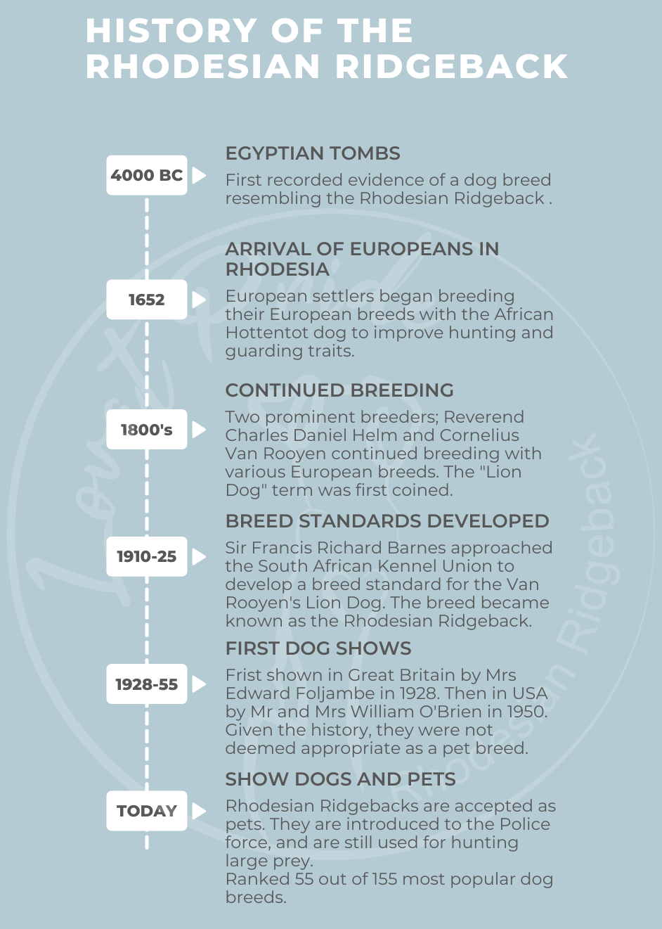 Rhodesian Ridgeback Origination The History of the Rhodesian Ridgeback – Lovat Pride Rhodesian Ridgeback