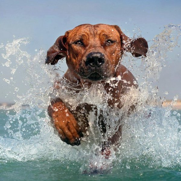 5 Personality Traits You Will&nbsp;Love